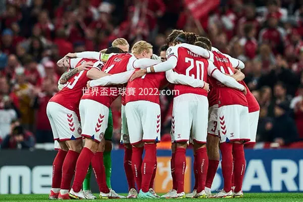 世足2022-丹麥被FIFA譽為最強黑馬-世界盃足球賽2022.com